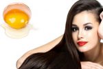 Top 2 loại mặt nạ trị rụng tóc từ trứng gà hiệu quả