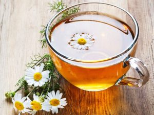 Uống trà hoa cúc giảm bệnh đau dạ dày